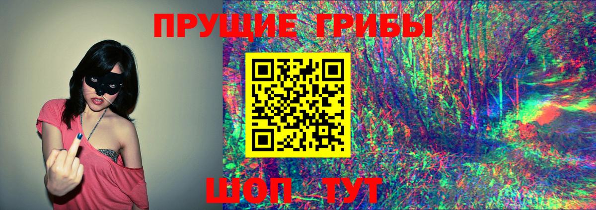 Псилоцибиновые грибы мицелий  Вход с VPN  Соль-Илецк 
